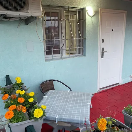 Front Exclusive Struga